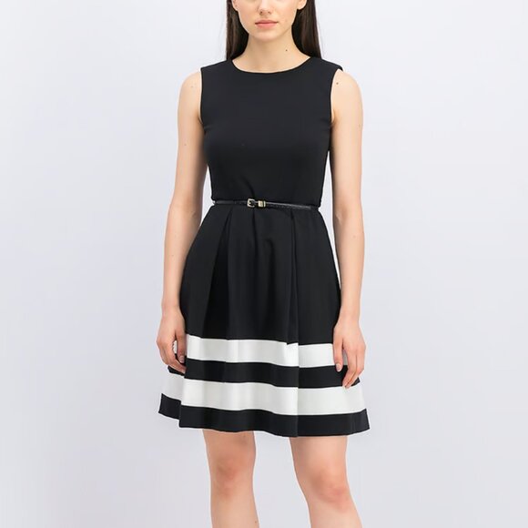 Calvin Klein Sleeveless Fit & Flare Dress (size 2) - Picture 1 of 15